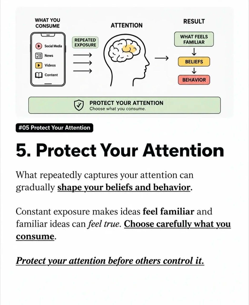 Principle 5 — Protect Your Attention: what you consume shapes beliefs and behavior